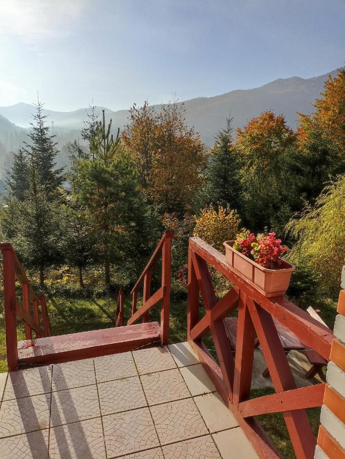 Садыба Полыцька Guta Quarto foto